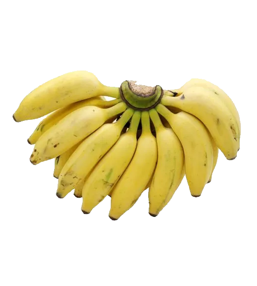 Banana Yellaki 12pcs (1 Dozen)