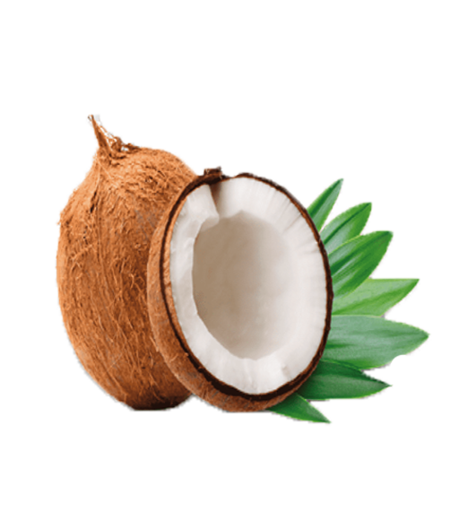 Coconut Kalash (Naral) Narial 1pc