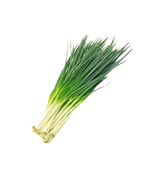 Spring Onion (kanda Path) 1Bunch