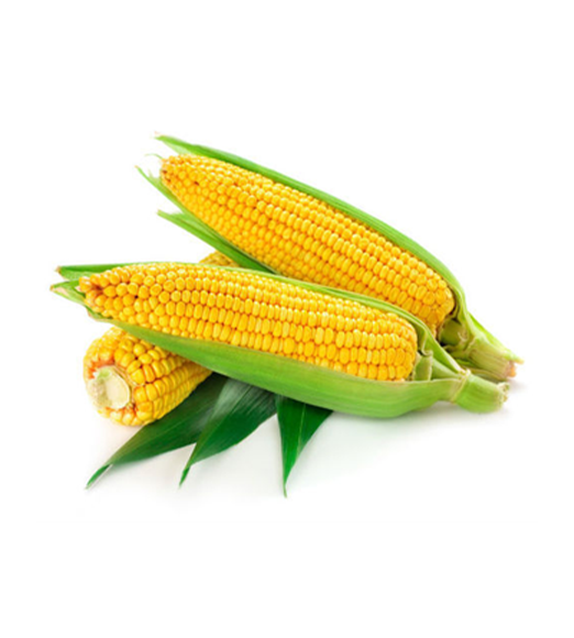 Sweet Corn (makka) 1Pc