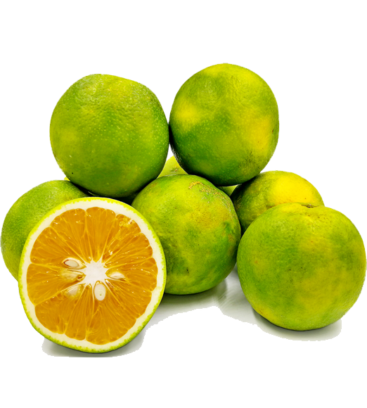 product_small_img2