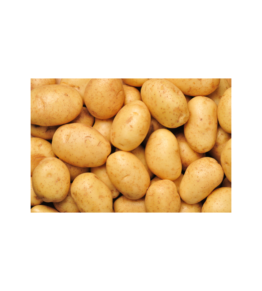 product_small_img2